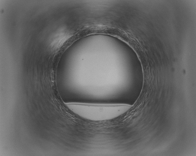 X0000071341301200606230727