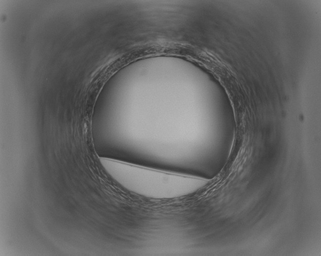X0000071341302200606230727