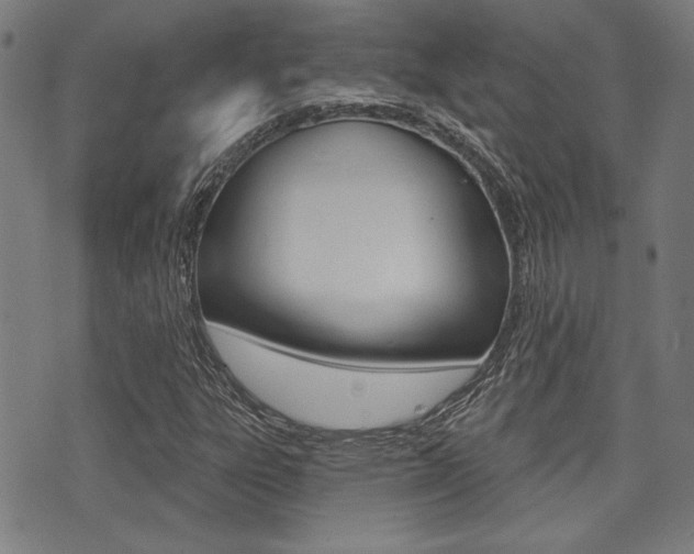 X0000071341303200606230727