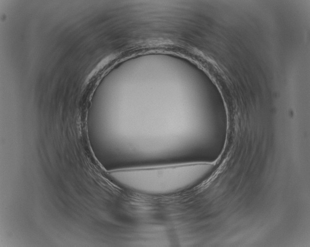 X0000071341306200606230727