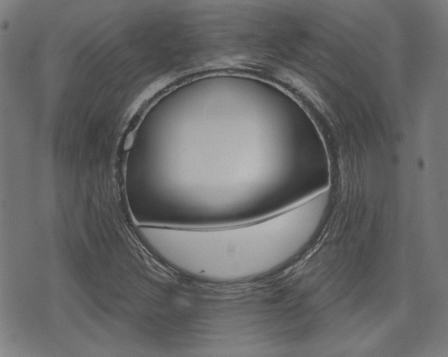 X0000071341308200606230727