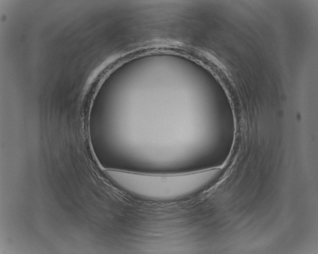 X0000071341310200606230727