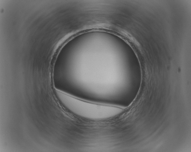 X0000071341316200606230727