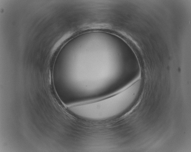 X0000071341317200606230727
