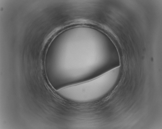 X0000071341318200606230727