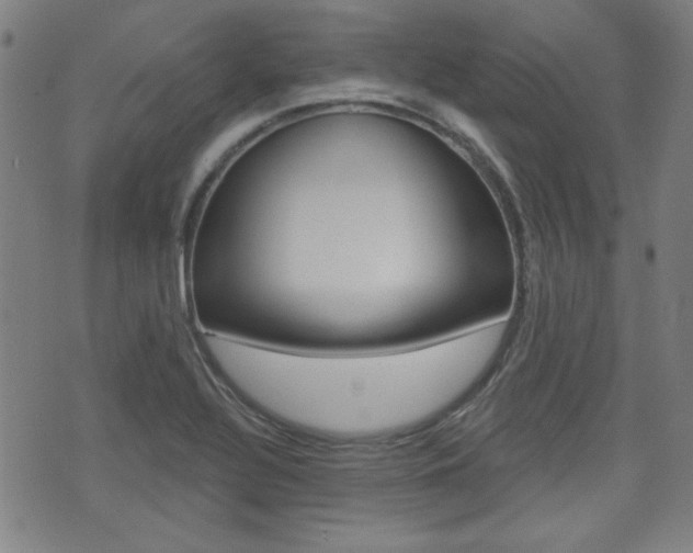X0000071341320200606230727