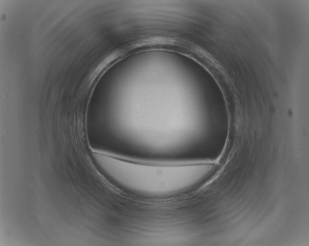 X0000071341321200606230727