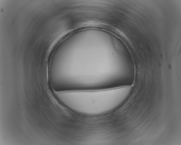 X0000071341323200606230727
