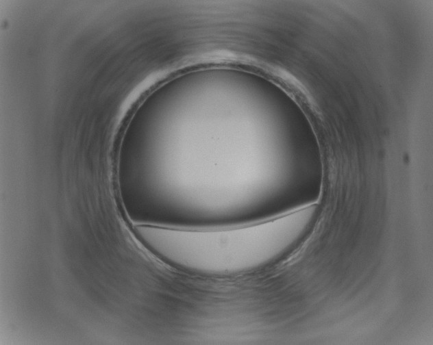 X0000071341326200606230727