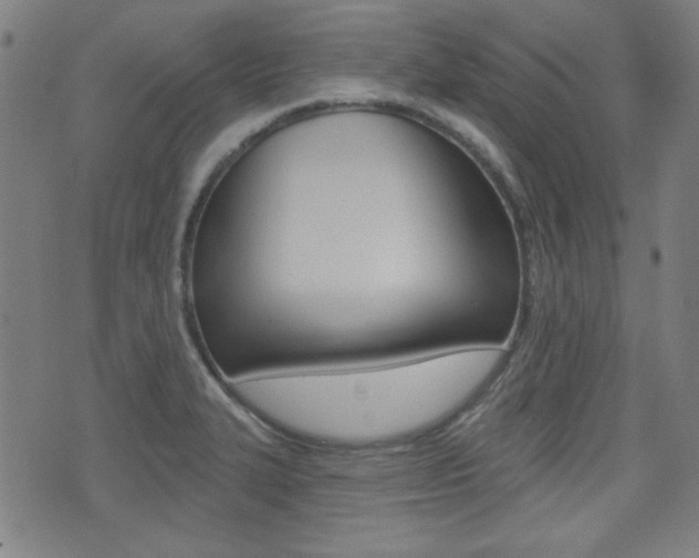 X0000071341327200606230727