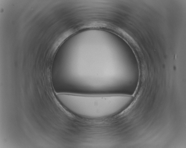 X0000071341329200606230727