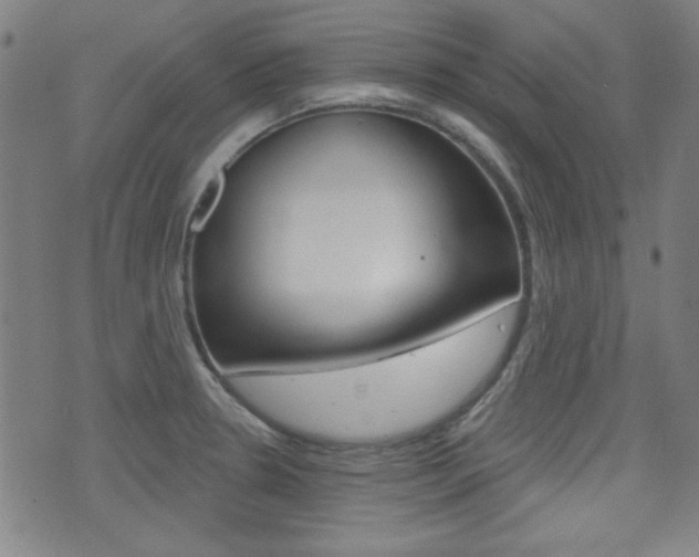X0000071341330200606230727