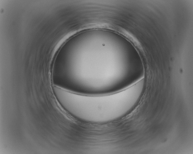 X0000071341332200606230727