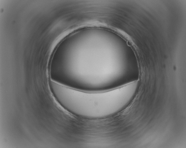 X0000071341335200606230727