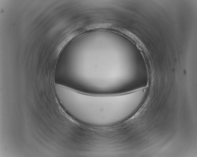 X0000071341337200606230728