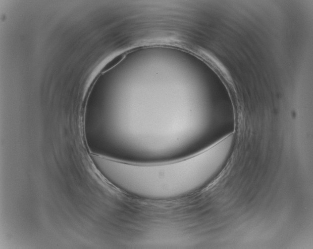 X0000071341340200606230728