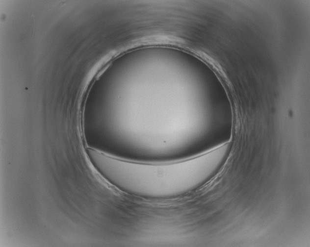 X0000071341342200606230728
