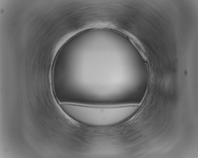 X0000071341343200606230728