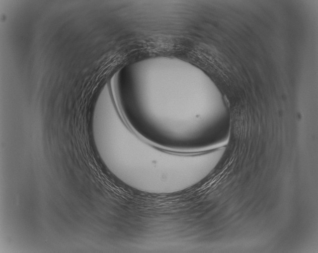 X0000071341345200606230727