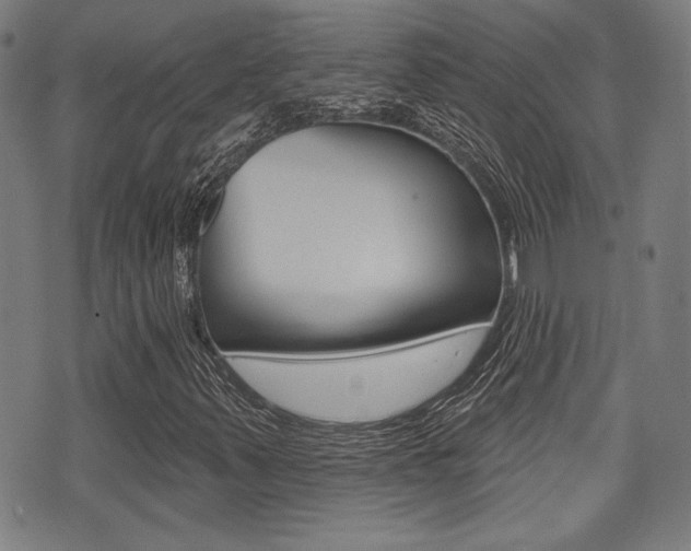 X0000071341347200606230727