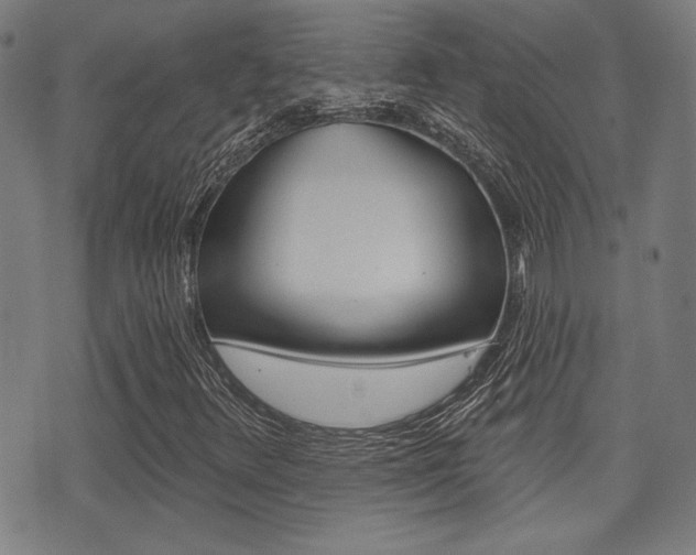 X0000071341348200606230727