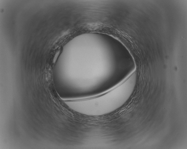 X0000071341349200606230727