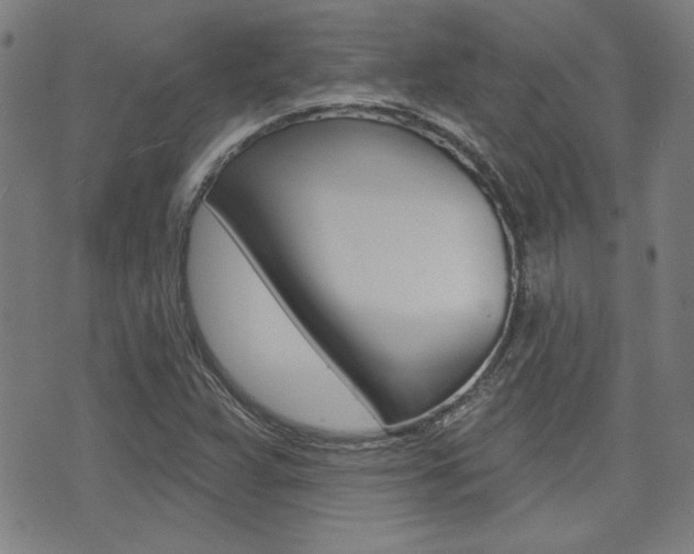 X0000071341359200606230727
