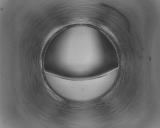 X0000071341372200606230726