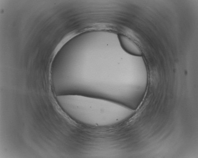 X0000071341378200606230726