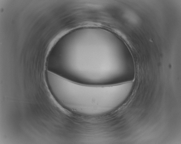 X0000071341379200606230726