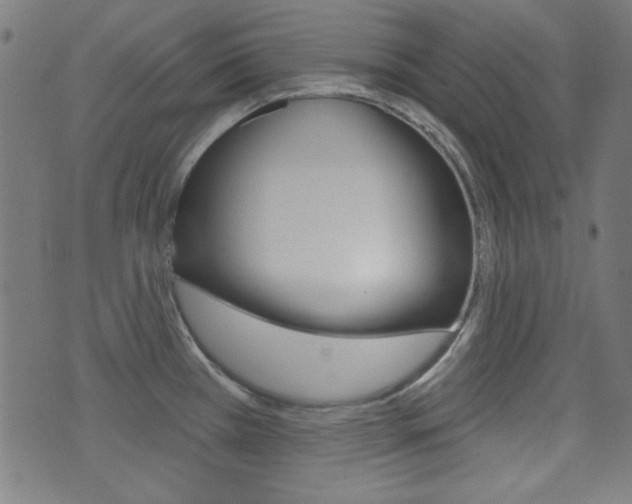 X0000071341385200606230726