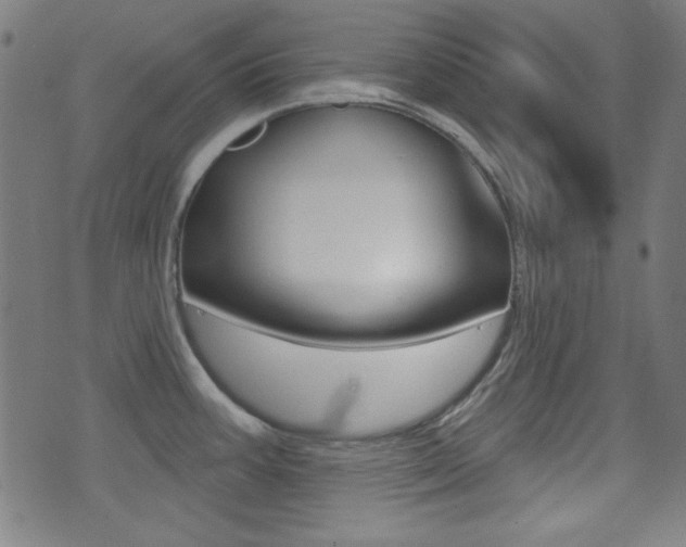 X0000071341387200606230726