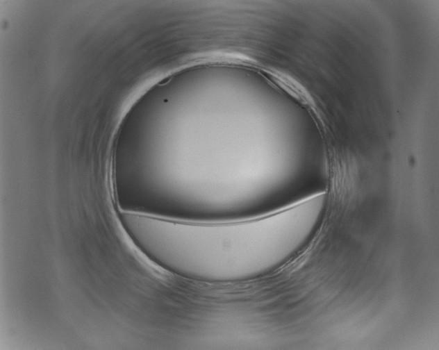X0000071341391200606230726
