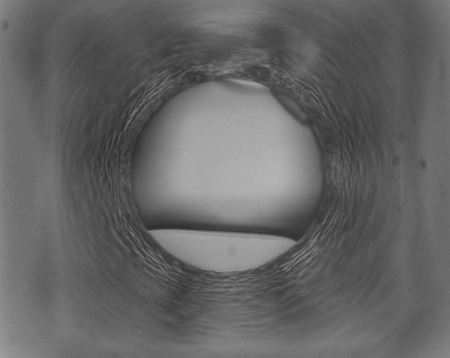 X0000071341393200606230725