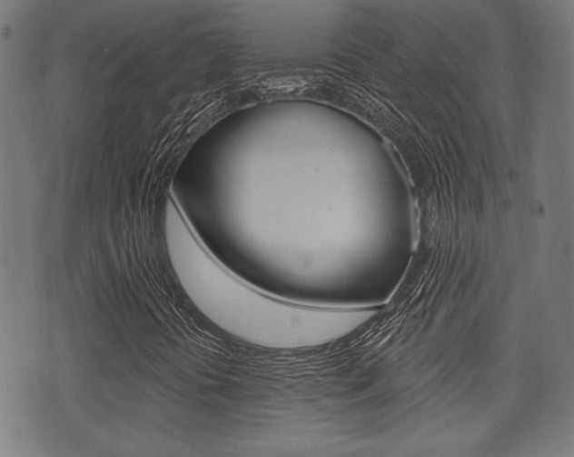 X0000071341394200606230725