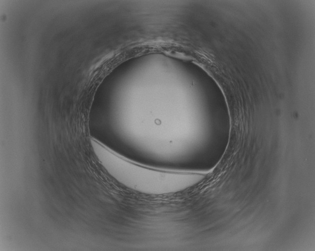 X0000071341398200606230725