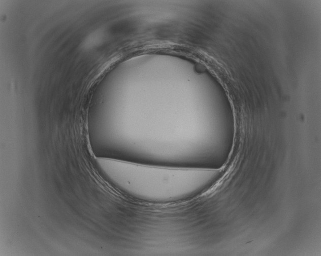 X0000071341401200606230725