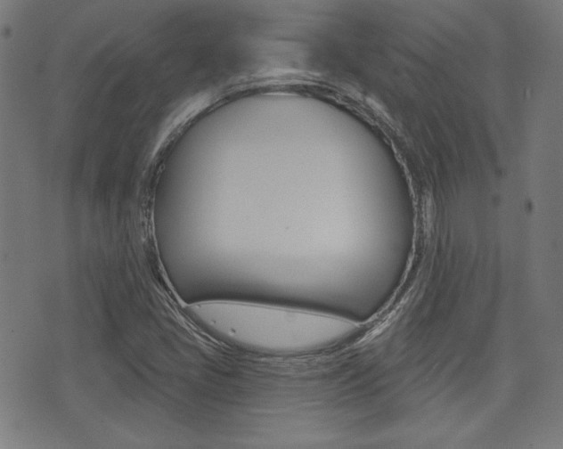 X0000071341405200606230726