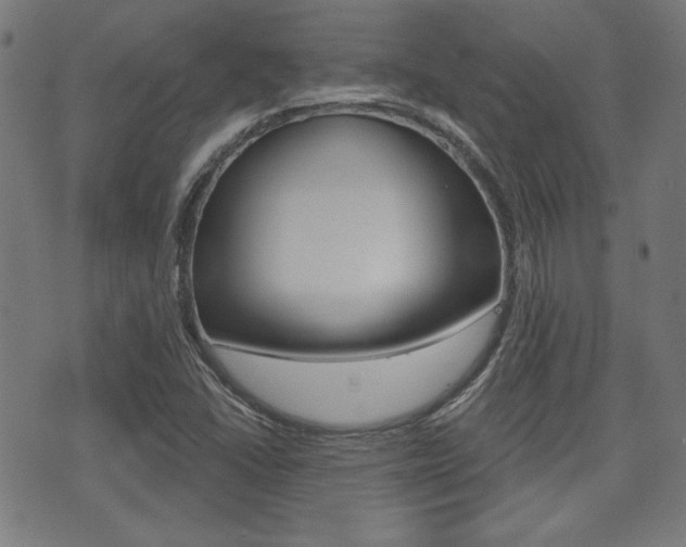 X0000071341406200606230726