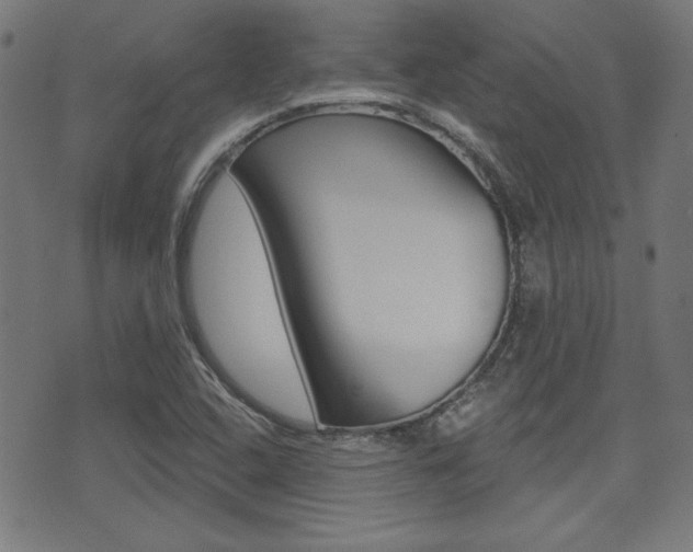 X0000071341408200606230726