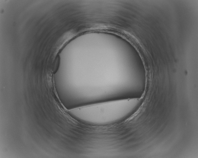 X0000071341409200606230726