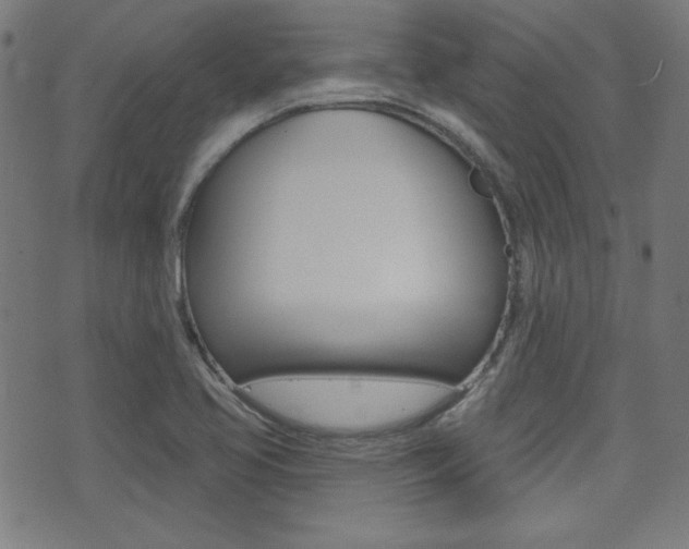 X0000071341413200606230726