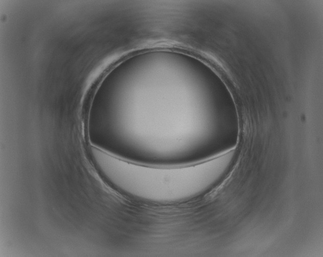 X0000071341414200606230726