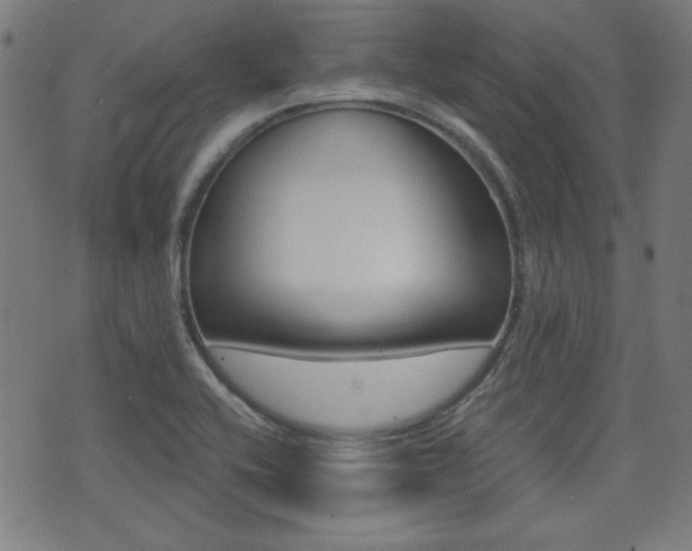 X0000071341416200606230726