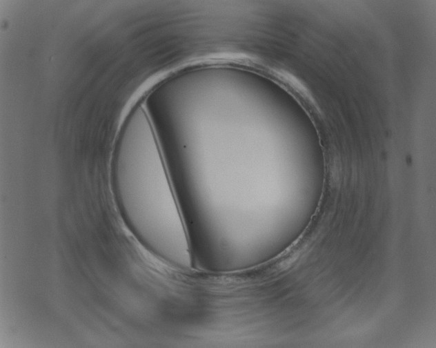 X0000071341420200606230726