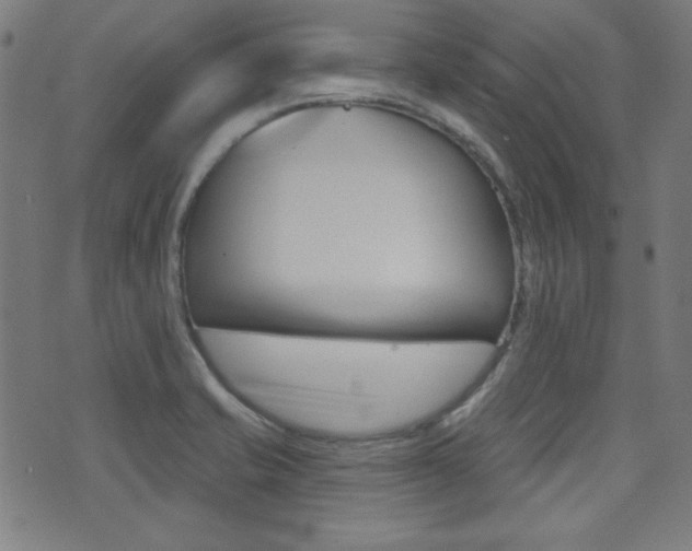 X0000071341421200606230726