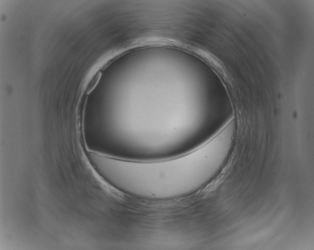X0000071341430200606230726