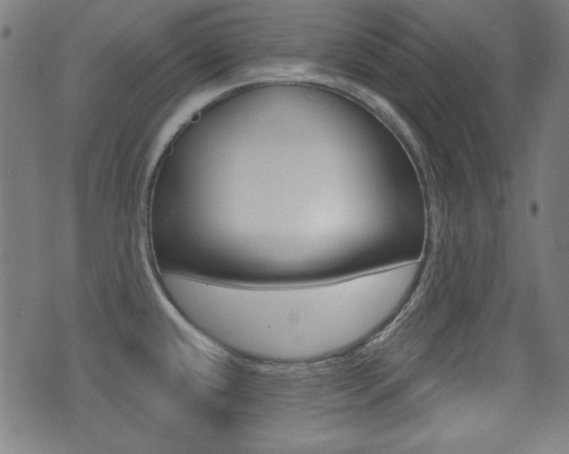 X0000071341432200606230726