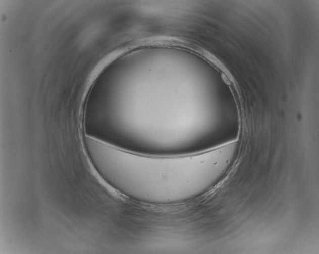 X0000071341437200606230726