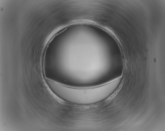 X0000071341438200606230726